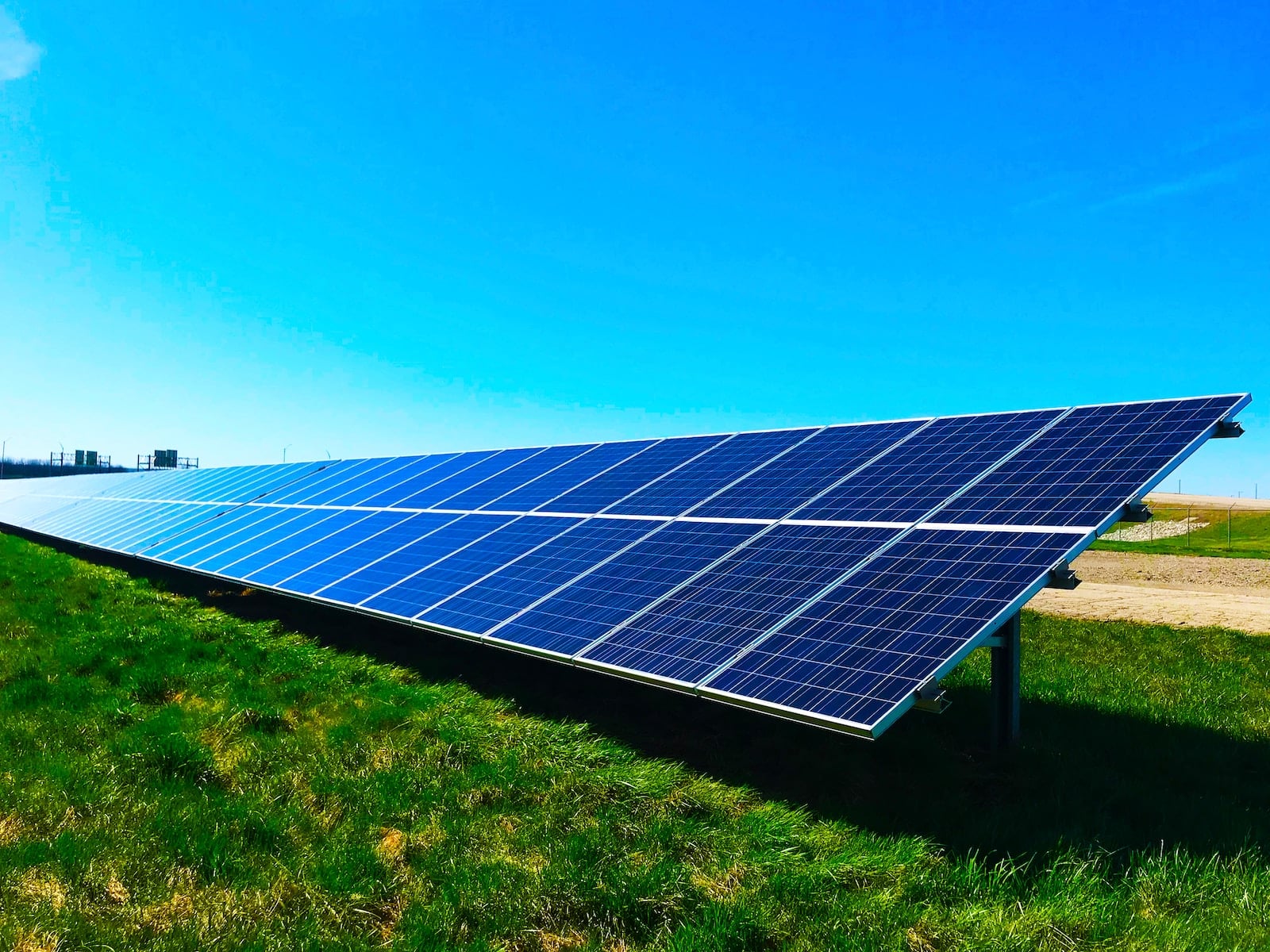 Green and Profitable: Sustainability Initiatives That Drive Success in the Service Industry